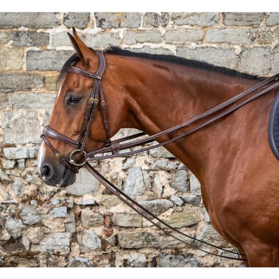 Slofteugel in leer 1/2 Bruin Pony