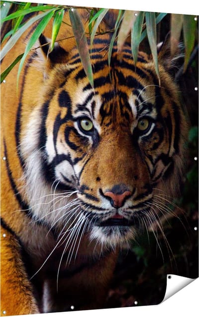 Gards Tuinposter Tijger in de Jungle - 120x160 cm - Tuindoek - Tuindecoratie - Wanddecoratie buiten - Tuinschilderij