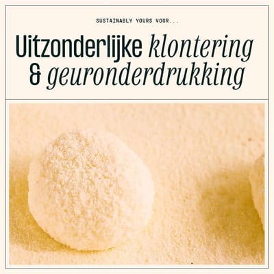 Duurzaam Kattenbakvulling Kleine Korrel 4.5 kg Plantaardig