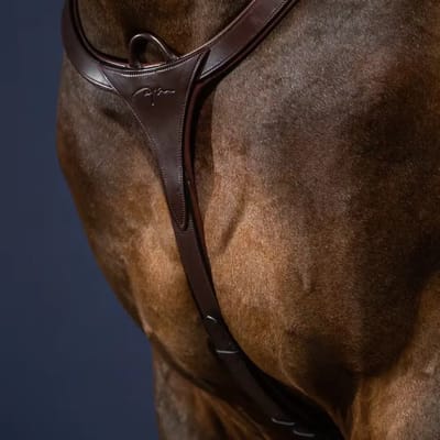 Jachthalsband voor paarden Dy'on New English Collection