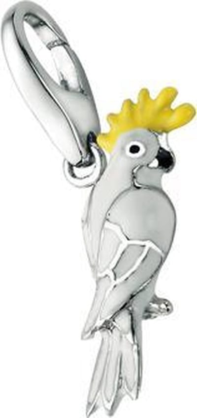 Charm | bedel | Kakatoe | Giorgio Martello