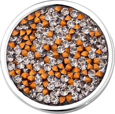 Quiges - Munthouder Munt 33mm RVS met Zirkonia Transparant met Goudkleurig - EPR076