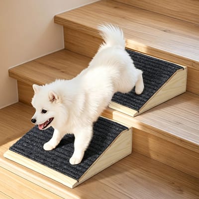 Hondenramp 2 stuks - Anti-slip hondentrap met tapijt oppervlak - Lage hoek houten pet ramp voor kleine, gewonde en oude honden - Trappen en stoep hulpmiddel