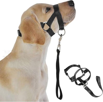 Hondenhalster Muilkorf - Honden trainingsharnas - Gedragsverbetering Hond - Ademen en Drinken Mogelijk - L (12-30cm muil) - Zwart