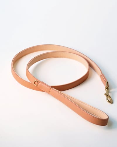 Wiggled Hondenriem - Vegan leer - Maat M/L (lengte 1.50 meter, breedte 2 cm) - Trendy en hip - Bijpassende halsband mogelijk - klein en middelgrote hond - Oranje kleur