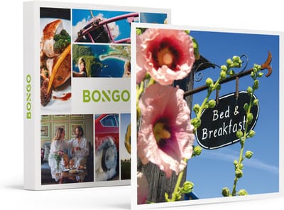 Bongo Bon -3 Dagen In Een Bijzondere B&b In Nederland- Cadeaukaart