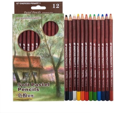 Professionele 12 Kleuren Huidskleur Potloodset Portretkleur Houtskooltekening Schoolstudent Benodigdheden voor Kunstenaar landscape