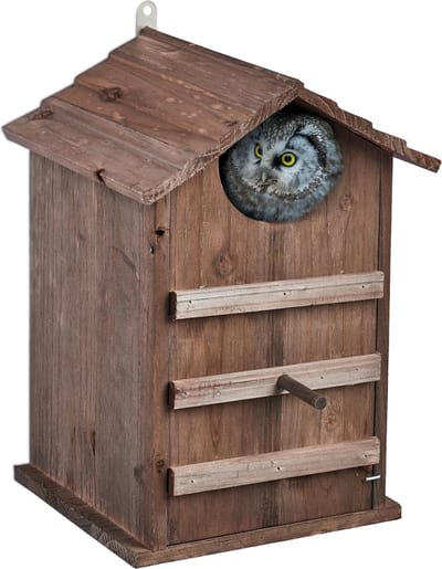 uilenkast kleine uilen - invliegopening 9,5 x 9,5 cm - vogelhuis - bruin