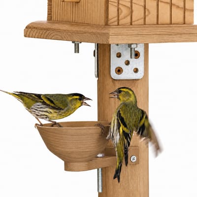 Vogel Drinkbak Voor Buiten - Houtlook Vogelbad Voor Tuin En Terras - Waterbak Voor Vogels - Geschikt Voor Vogelvoederpaal 60MM - 150ML - Oak