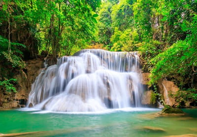 Fotobehang - Vlies Behang - Waterval in het Bos - Jungle - 254 x 184 cm