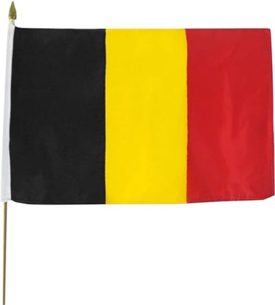 Vlag op stok - België - Stof - 30x45cm