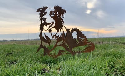 Metalen Hond - De bordercollie - Cortenstalen tuindecoratie - tuin decoratie