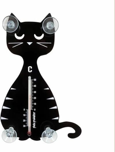 POES THERMOMETER