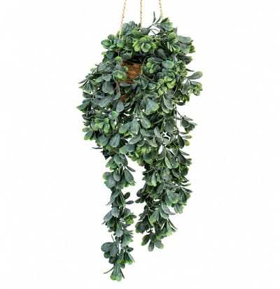 Kunstplant Crassula XL in hangmand naturel L140cm