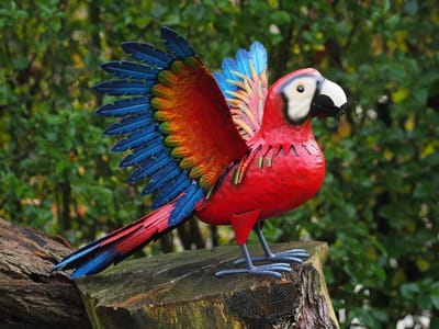 Tuinbeeld - Papegaai - 38 cm hoog