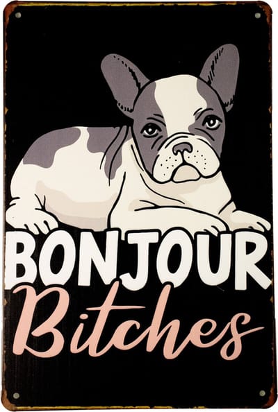 Bonjour Bitches - Metalen wandbord - Wandbord - Tekst bord - Metalen borden - Metal sign - Metalen bord - Decoratie - Vrouwen bordje - 20 x 30cm - Cadeau - Metalen decoratie - UV bestendig - Eco vrie