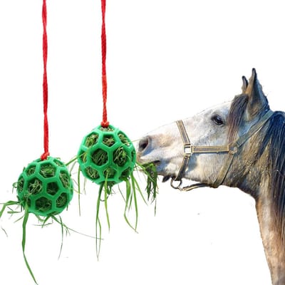 Pack van 2 Voederstations voor Hooi voor Paarden en Geiten, Geschikt voor Hangend Gebruik, Stressverlichting voor Dieren