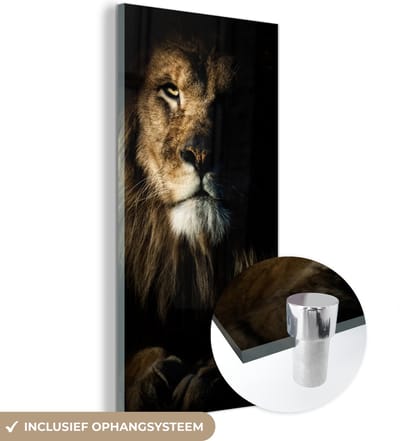 MuchoWow® Glasschilderij 20x40 cm - Schilderij acrylglas - Leeuw - Licht - Portret - Foto op glas - Schilderijen