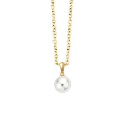 New Bling 9NBG-0710 Gouden ketting met Hangertje - Hondenpootje - Poot afdruk - 9,2x11,6mm - Ankerschakel - 39+3+3cm - 14 Karaat - Goud
