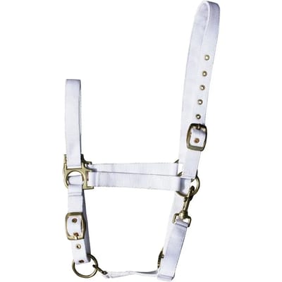 Harry's Horse Halster 3x verstelbaar wit pony