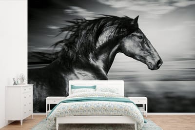 Behang - Fotobehang Paard - Dieren - zwart - Wit - Breedte 360 cm x hoogte 240 cm