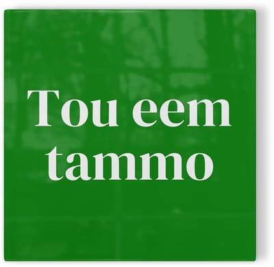 Tegeltje Groningen Tou eem tammo - groen wit - tegeltje stad - tegeltje met tekst