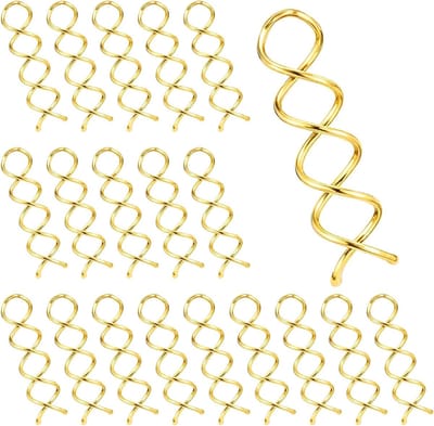 20 Pcs Spiral Haarspelden - Spin Pin - Spiral Bobby Pins - Niet Krassende Ronde Clip - Bun Twist - Stylish Bobby Pins - Spin Pins voor Haar Twist - Schroef Haarspelden voor Meisjes Vrouwen