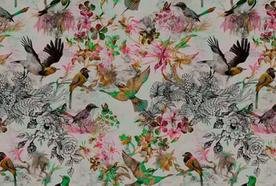 Walls by patel funky birds
