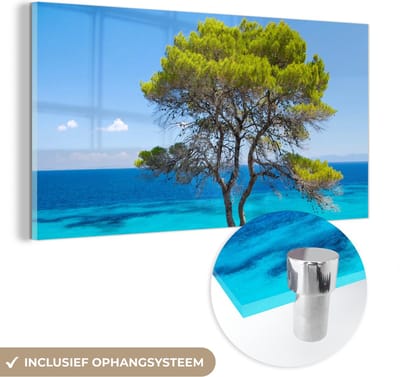 MuchoWow® Glasschilderij 40x20 cm - Schilderij acrylglas - Boom - Zee - Tropisch - Zomer - Foto op glas - Schilderijen