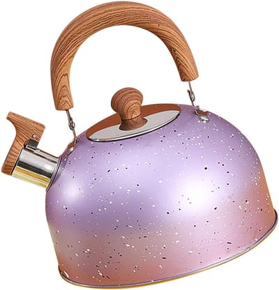 Fluitketel - Waterketel - Water Koken - Grote Capaciteit - 2 Liter - Paars