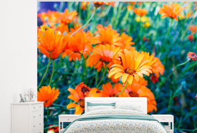 Behang - Fotobehang Veld met goudsbloemen - Breedte 325 cm x hoogte 260 cm