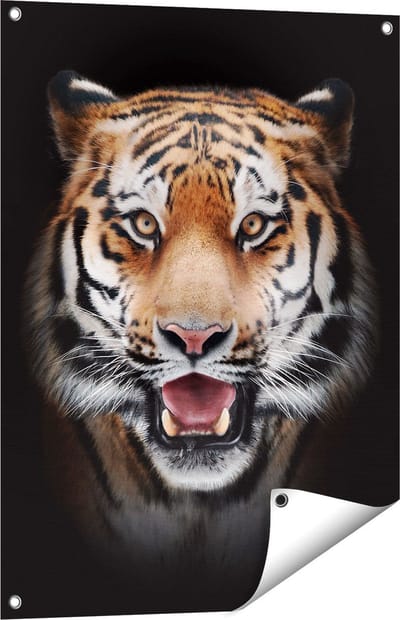 Gards Tuinposter Tijgerkop - Tijger - 60x80 cm - Tuindoek - Tuindecoratie - Wanddecoratie buiten - Tuinschilderij