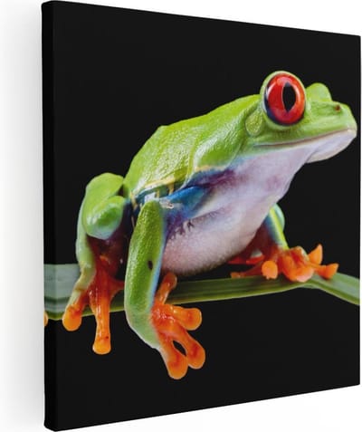 Artaza Canvas Schilderij Dieren - 30x30 cm - Klein - Wanddecoratie Kikker - Muurdecoratie Jungle - Kamer Accessoires
