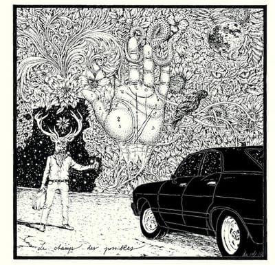Placide - Le Champ Des Possibles (CD)
