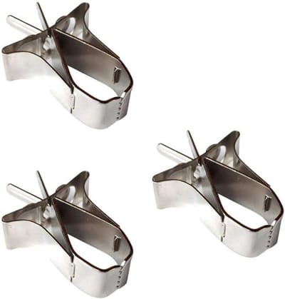 Vogel Fruit Houder - Voeder Clips - Dieren Voeden - Roestvrij Staal - 3 Stuks - Zilver
