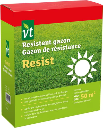 De Lekkerste Kruiden voor Je Kruidentuin - 5 Zakjes Kruidenzaden