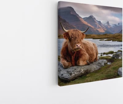 Saammp Canvas Schilderij - Schotse Hooglander Koe op steen - Natuur - Dieren - 20x20 - Foto op canvas - Wanddecoratie - Muurdecoratie Woonkamer - Slaapkamer decoratie - Canvas Print