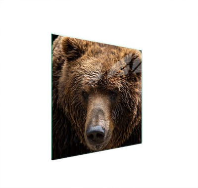 TMK ArtDeko - Glazen Beschermplaat - Snijplank - 50x52 cm - Veilig en Praktisch