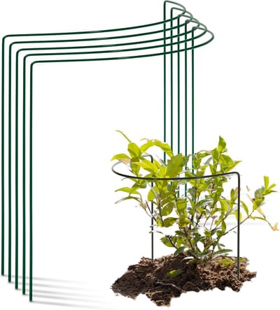 5 struiksteunen metaal halfrond 40 cm Ø35 cm hoog groene vaste plantenhouder bloemenhouder klimplant plantensteun bloemensteun vaste plantensteun klimhulp struikhouder rozensteun