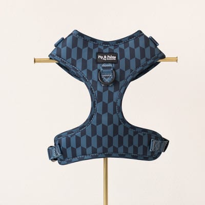 Pip & Palms - Hondenharnas Shades of Blue - Blauw - Maat XXS - Hondentuig - Verstelbaar - Y Tuig Hond - Zachte Voering - voor Kleine honden