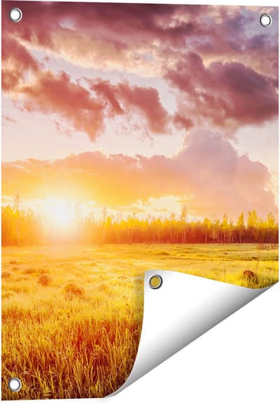 Gards Tuinposter Zonsopkomst in het Veld - 40x50 cm - Tuindoek - Tuindecoratie - Wanddecoratie buiten - Tuinschilderij