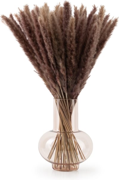Blumtal Pampas Pluimen - Droogbloemen - Boeket - Set Gedroogde Bloemen - 58 / 60 cm - Naturel - 30 Stuks