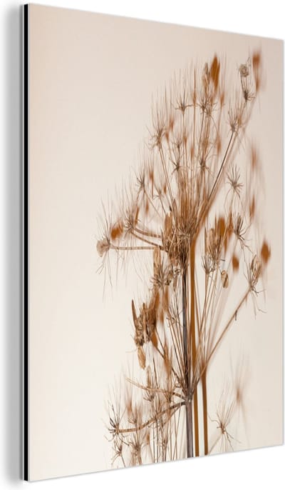 Aluminium schilderij 60x80 cm - Wanddecoratie metaal - Droogbloemen - Stilleven - Wit - Planten - Bloemen - Metalen muurdecoratie woonkamer - Decoratie industrieel - Foto op dibond - Industriële accessoires slaapkamer