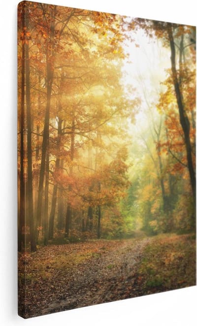 Artaza Canvas Schilderij Herfstbos - 30x40 cm - Klein - Wanddecoratie Bomen - Muurdecoratie Zonlicht - Kamer Accessoires Natuur
