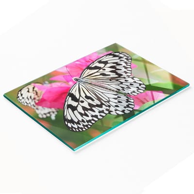 Multifunctionele decoratieve glazen snijplank voor de keuken met vlinder- en bloemmotief, 80x52 cm