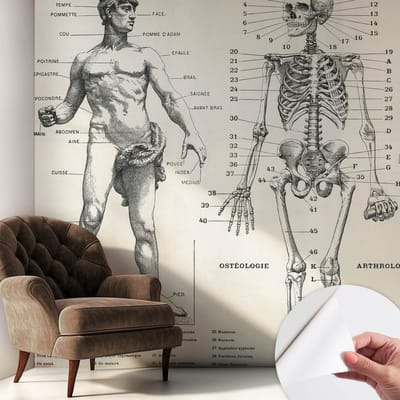 Coloray Zelfklevend Behang - Klassieke anatomie Stickerbehang op rol - 250x250 cm - Zwart Zelfklevend Behang - Voor op kantoor, voor de hal, voor de woonkamer - Peel-and-stick techniek - Zelfklevend fotobehang