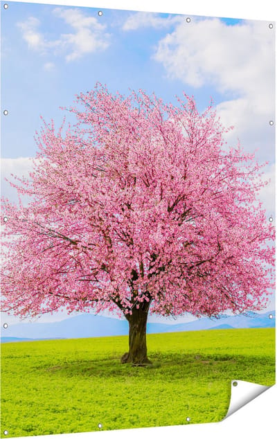 Gards Tuinposter Roze Sakura Bloesem Boom in het Groene Veld - 120x160 cm - Tuindoek - Tuindecoratie - Wanddecoratie buiten - Tuinschilderij