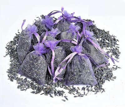 Anti motten - Lavendel - biologsche lavendel geur zakjes lavedelzakjes (10 zakjes à 4 gram per stuk) - lavendelzakjes - PLUS 1 mini lavendelzakje 3 gram