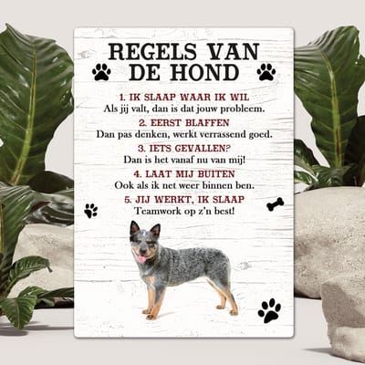 Spreuken - Australian Cat Dog - Regels Van De Hond - Spreuken Bordjes - Spreukenbord - Tekstborden - Cadeau - Hondenras