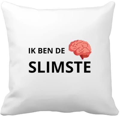Akyol - ik ben de slimste Kussen hoes - Quotes - slimme mensen - de slimste - verjaardagscadeau - verjaardag - cadeau - kado - geschenk - gift - 40 bij 40 cm